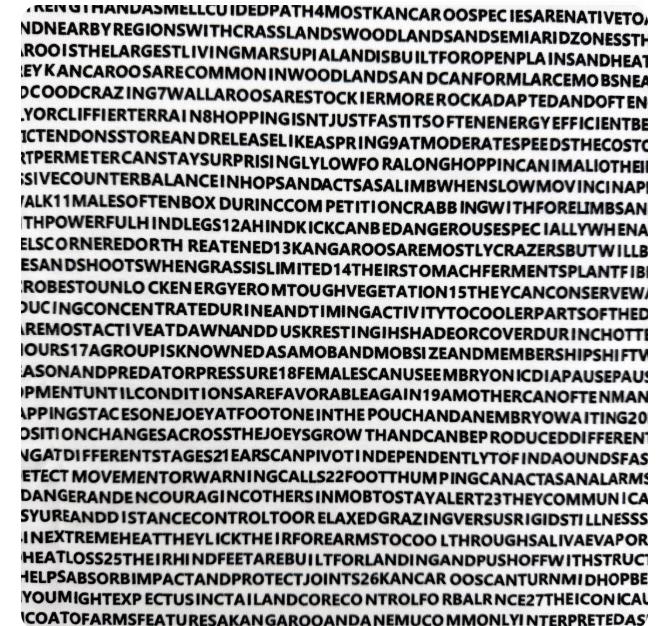 2026 Nettspend Australia Merch – Mens Fashion Australia Bewertung und Preis